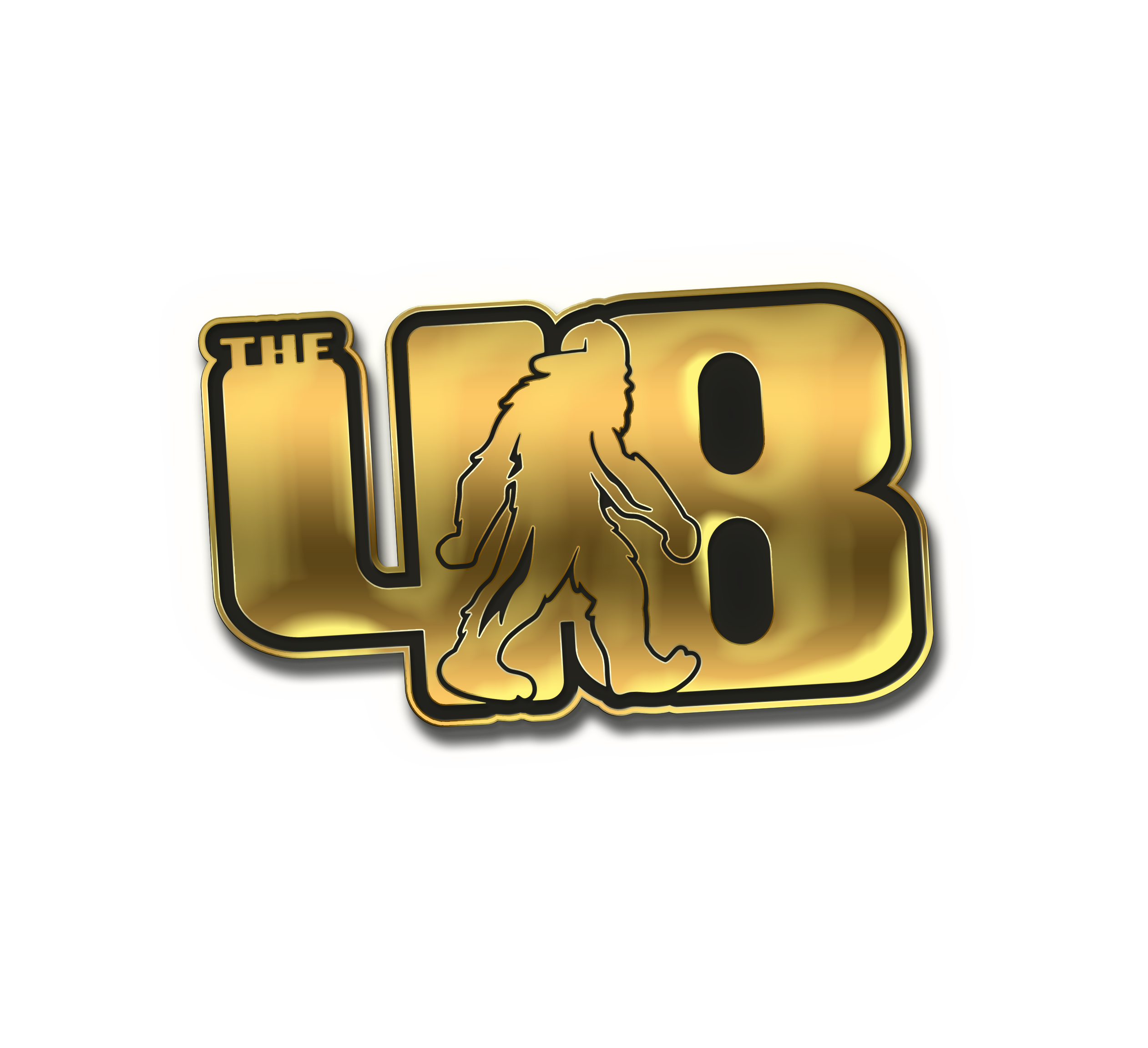 The 48 Pin